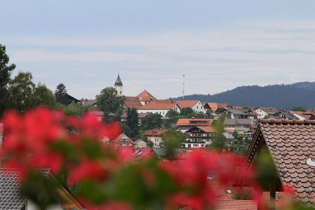 Pension Anderl Bodenmais Esterno foto